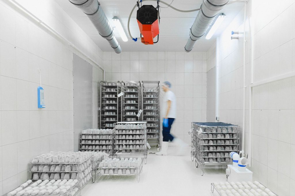 Technician inside a walk-in cold storage room with metal shelving